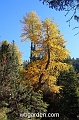 wbgarden alps 102